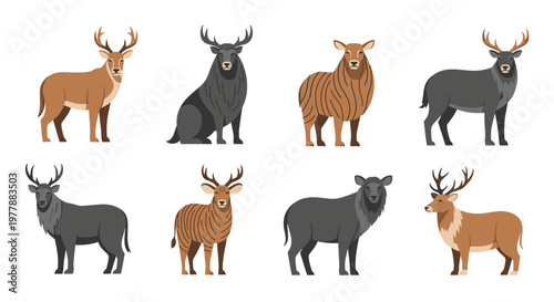 Collection of various deer species standing.