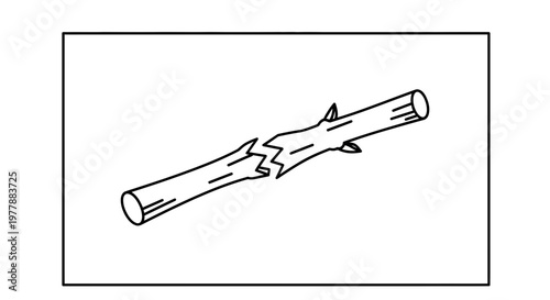 Broken Twig Branch with Thorns, Symbolizing Difficulty, Struggle, and Failure