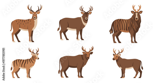 Sitatunga Antelope Mammals Wildlife Animals.