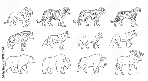 Various animals in profile walking.