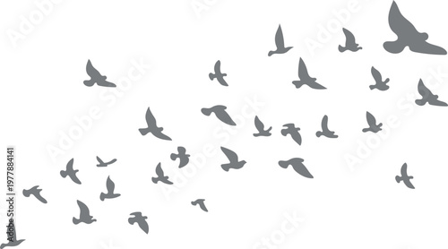 Grey Flying Birds silhouettes set isolated on white background, Neutral flock of birds in flight for minimal nature and sky background designs.