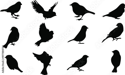 Black Sitting Bird silhouettes in various poses, isolated on white background, Vector wild bird shapes for nature, garden, and wildlife designs.