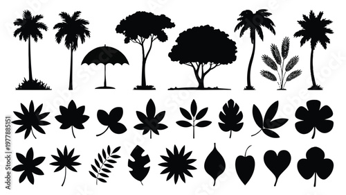 Diverse collection of black and white tropical foliage and palm tree silhouettes, showcasing botanical variety in a graphic illustration