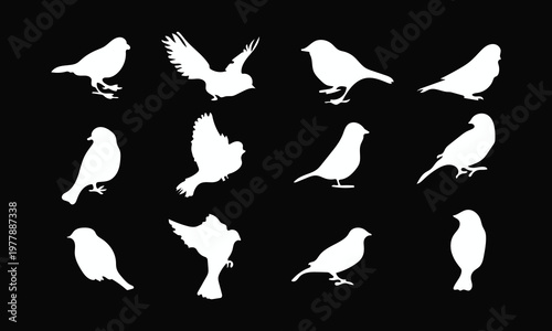 White Sitting Bird silhouettes set on black background, High-contrast wild bird shapes for dramatic nature and nocturnal animal themes.