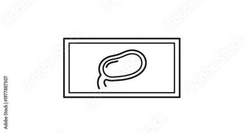 Simple Line Drawing of a Kidney on a Screen
