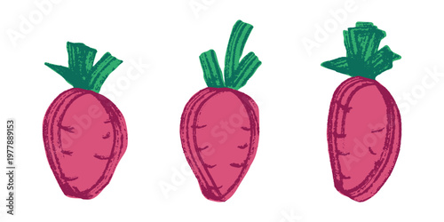 Hand drawn farm daikon radish beet beetroot plant with green leaves Fresh vegetable doodle set Healthy eco food Organic garden vegetarian food For design, print, packaging, decor, kids books