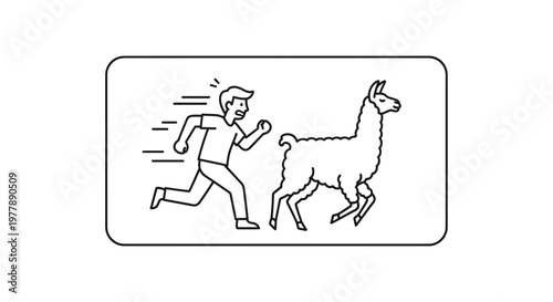 Man Running Away From Aggressive Llama, Danger, Fear, Chase, Animal Attack Concept