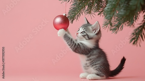 Tiny kitten pawing at a Christmas ornament on a tree on a pink background