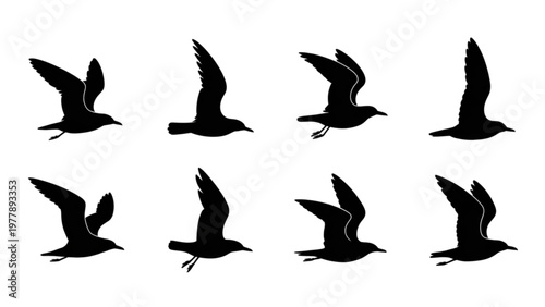 Series of black silhouettes of birds captured in various flight poses Vector