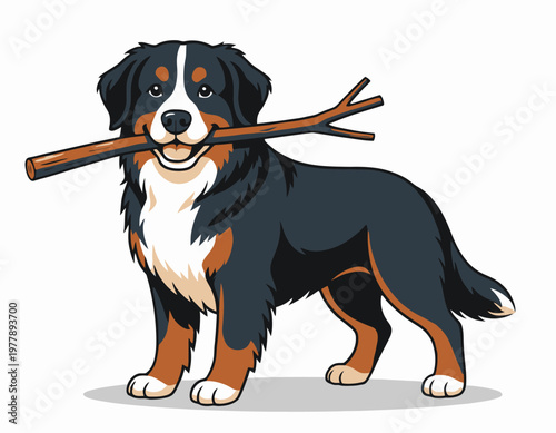 Detailed vector illustration of a happy Bernese Mountain Dog illustration standing with a stick in its mouth, looking playful.