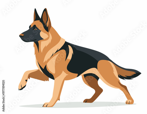 A detailed vector illustration of a German shepherd in a poised stance. The dog has a long coat, perked ears and watchful eyes.