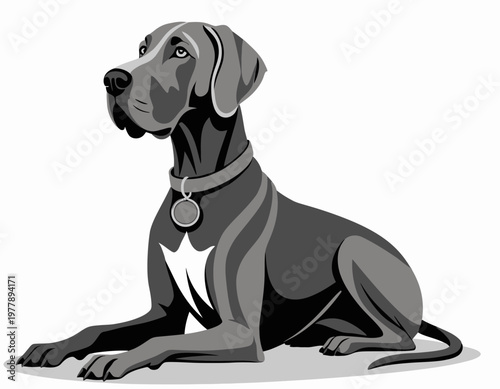 A detailed vector illustration of an elegant Great Dane dog sitting, with a calm expression, resting