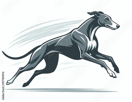 A detailed vector of a greyhound dog running fast with speed lines. The illustration captures the dog's sleek silhouette and focused expression. The speed lines accentuate its incredible velocity