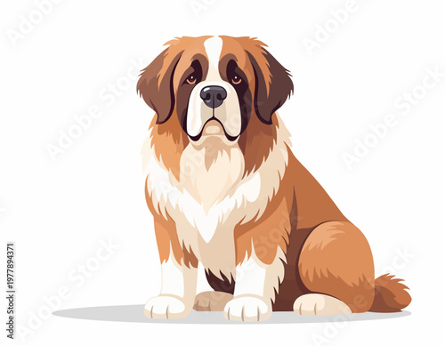 A majestic St. Bernard dog with brown and white fur sitting calmly, looking directly at the viewer in a clean illustration style.