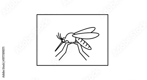 Mosquito Illustration: Simple Line Drawing of Insect with Wings and Legs