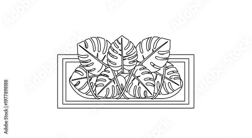 Monstera Plant Leaves in Rectangular Planter, Outline Drawing, Minimalist Botanical Art