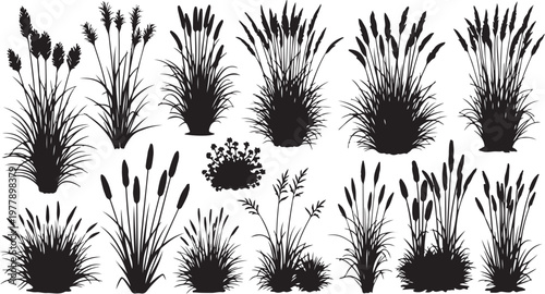 Various cattail and grass silhouettes on white background illustration