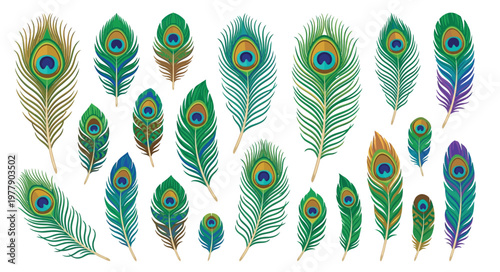 Collection of vibrant peacock feathers in various shades and arrangements