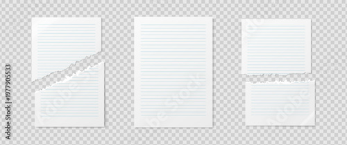 Empty realistic detailed school paper sheet mockup isolated on transparent background. For your image, logo, text or design. Blank paper lines mockup with shadows. Torn business sheet. Vector illustra