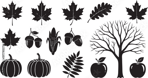 Autumn icons and symbols in black and white illustration