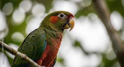 A vibrant parrot perched on a branch, its feathers a mix of green, red, and yellow, with a distinctive orange beak.