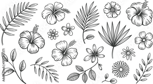 Collection of tropical hibiscus flower and palm leaf silhouettes, black summer botanical icons for travel design