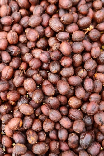 Coffee beans drying in the sun