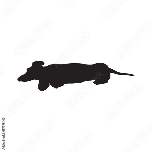 top view of a dachshund, black isolated silhouette
