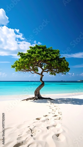 A solitary, windswept tree with a gnarled trunk stands on a pristine white-sand beach. Turquoise water meets a clear, azure sky. Footprints in the sand