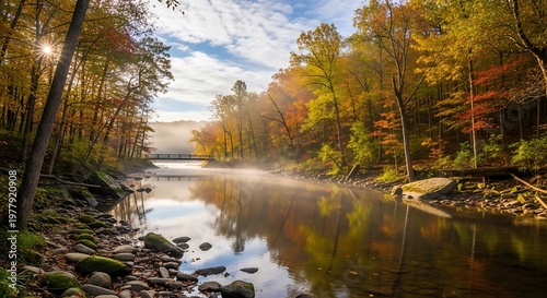 Autumn landscape featuring river flowing between trees reflecting in the water