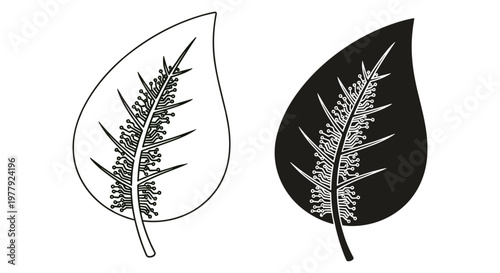 Black and white leaf icons, spiny foliage illustrations, vector graphics, botanical elements