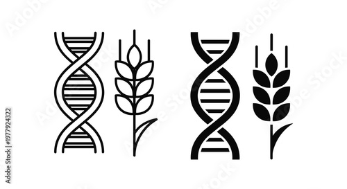 Genetic engineering icons, DNA double helix, wheat symbols, biotechnology illustrations, genetic modification graphics