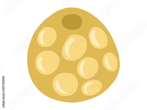 Fat Cell Anatomy Illustration
