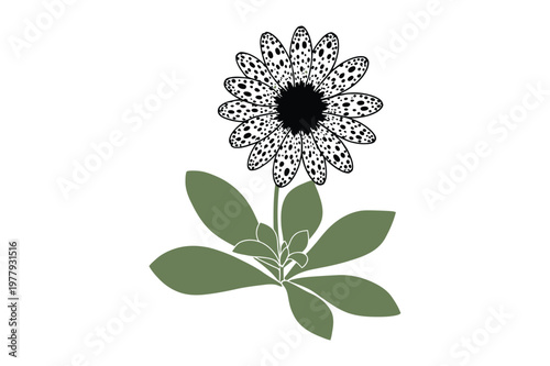 Single flower with spotted petals and green leaves vector art, botanical