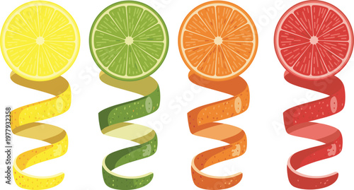 Citrus fruit slice collection, lemon lime orange grapefruit with spiral peels, colorful fresh food vector illustration isolated on white background