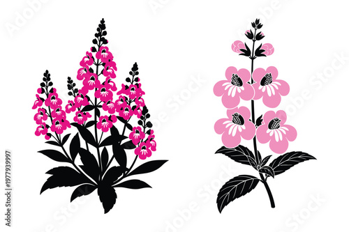 Pink snapdragons and pink foxglove flowers vector illustration with snapdragon