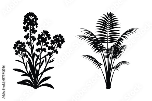 Wildflower and fern silhouette vector illustration with wildflower, silhouette