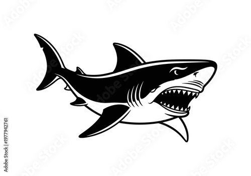 Aggressive Shark Illustration with Open Mouth and Sharp Teeth.