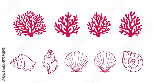 Collection of stylized pink coral branches and assorted seashell outlines isolated on a white background perfect