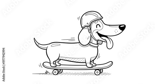 Whimsical dachshund dog wearing a helmet joyfully rides a skateboard dynamic motion lines cartoon style pure white