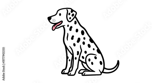 Dalmatian dog sitting calmly on a white background a playful and friendly purebred canine with distinctive black spots