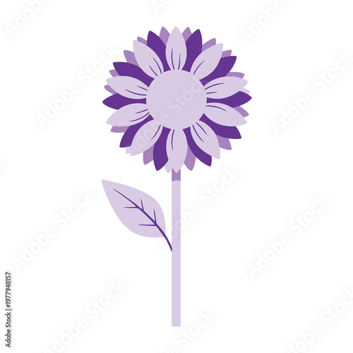 Purple flower with single leaf on stem, decorative botanical illustration