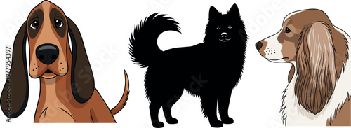 Dog breed vector illustration set featuring basset hound portrait spitz silhouette and spaniel profile detailed canine collection isolated