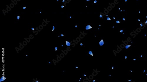 Blue Rose Petals Floating on Transparent Background (Alpha Channel)｜青いバラの花びらが舞い散る アルファチャンネル付き透過素材