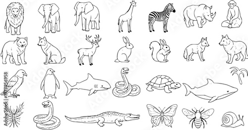 Outline Black and White Line Art Animal Set. Diverse Wildlife Collection with Mammals, Birds, Reptiles, Fish, and Insects for Nature Education.
