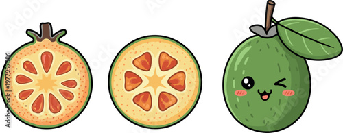 Cute guava fruit vector set with sliced cross section and kawaii character, colorful tropical illustration isolated on background