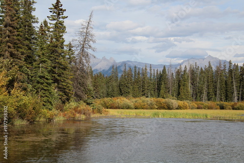 Wallpaper Mural lake in the forest, Banff National Park, Alberta Torontodigital.ca