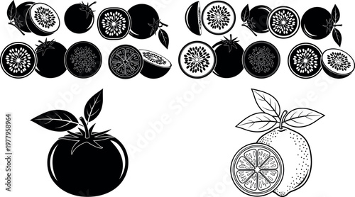Black and white citrus fruit vector set featuring oranges lemons slices and leaves in silhouette and outline illustration style