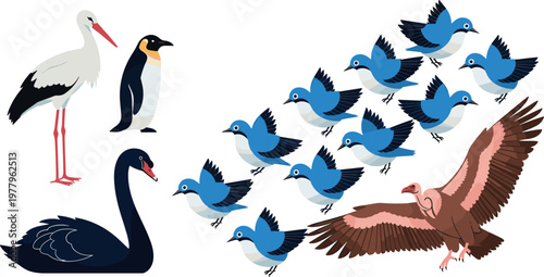 Bird species vector set with stork penguin swan flying flock and vulture, detailed wildlife illustrations isolated on background