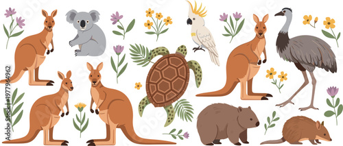 Australian animals collection with kangaroo koala emu turtle and flora cute wildlife vector illustration set isolated